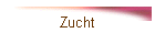 Zucht